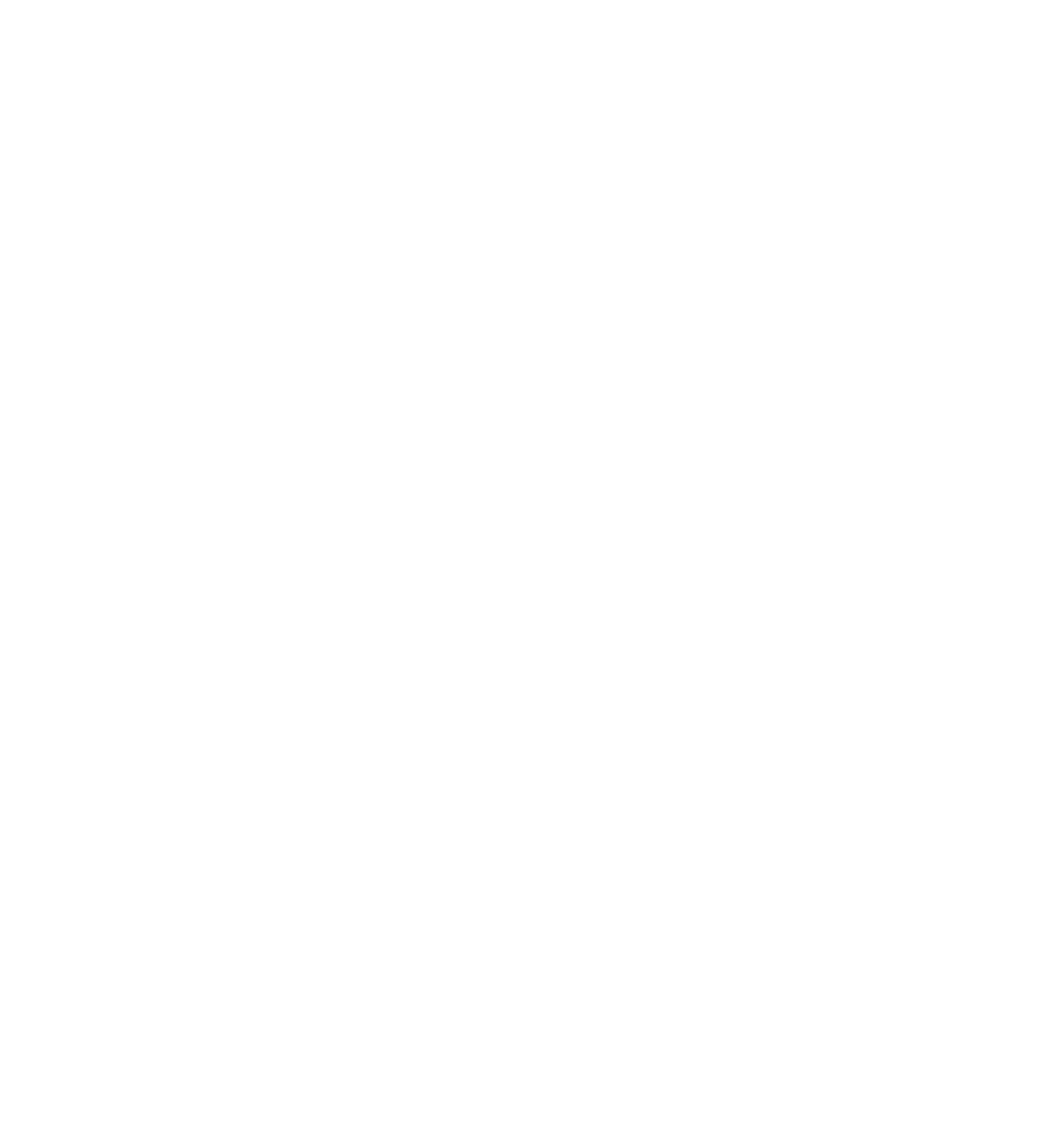 Mlota Holdings